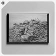 アートパネル-Wood Pile, Dead Ox Flat
 - ラッセル リー Canvas.