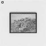 アートメモ帳-Wood Pile, Dead Ox Flat
 - ラッセル リー Memo.