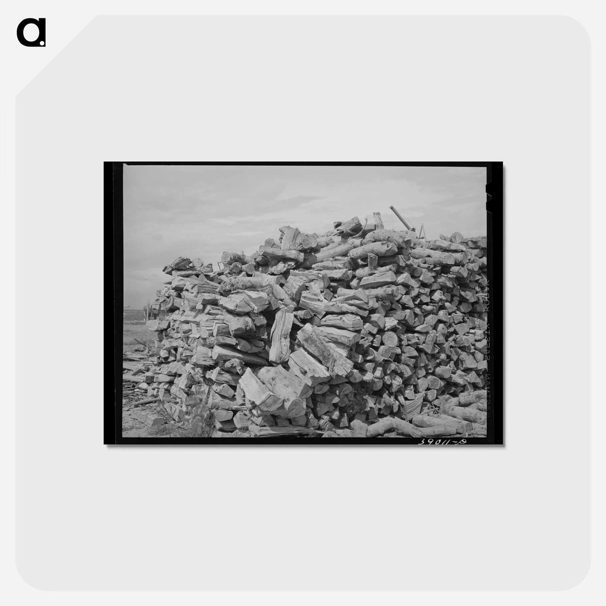 アートポストカード-Wood Pile, Dead Ox Flat
 - ラッセル リー Postcard.