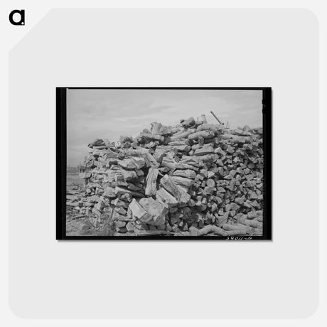 アートポストカード-Wood Pile, Dead Ox Flat
 - ラッセル リー Postcard.
