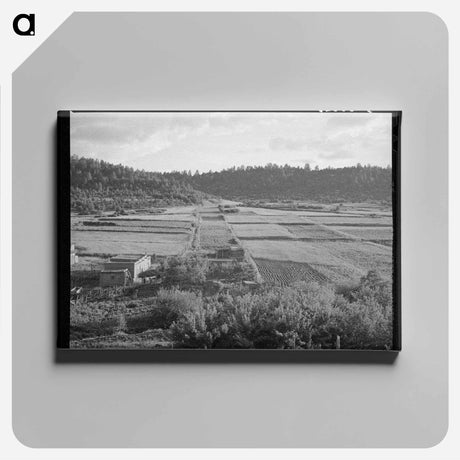アートパネル-Llano de San Juan, New Mexico
 - ラッセル リー Canvas.