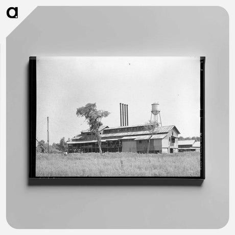 アートパネル-Lumber Mill, Sorrento, Louisiana
 - ラッセル リー Canvas.