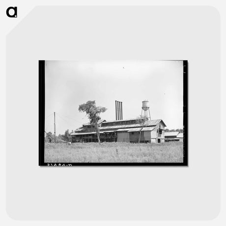 アートポストカード-Lumber Mill, Sorrento, Louisiana
 - ラッセル リー Postcard.