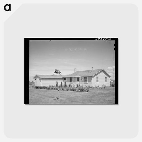 アートポストカード-Manager's House, FSA Labor Camp
 - ラッセル リー Postcard.