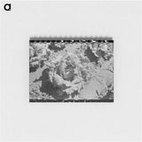 アートメモ帳-Lettuce Field, Canyon County
 - ラッセル リー Memo.