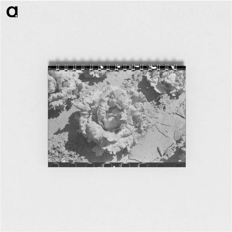 アートメモ帳-Lettuce Field, Canyon County
 - ラッセル リー Memo.