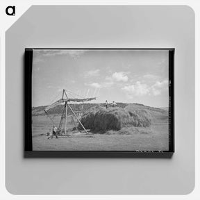 アートパネル-Stocking Hay, Ouray County
 - ラッセル リー Canvas.