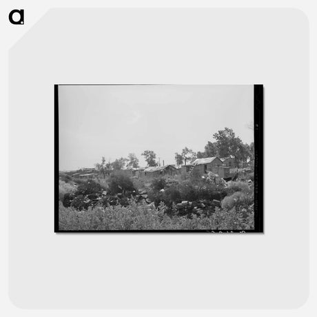 アートポストカード-Mays Avenue Camp
 - ラッセル リー Postcard.