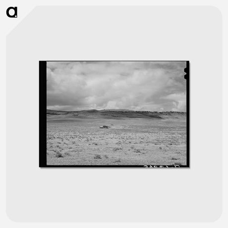 アートポストカード-Isolated House on the Range
 - ラッセル リー Postcard.