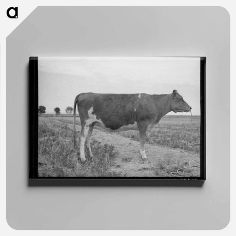アートパネル-Guernsey Heifer
 - ラッセル リー Canvas.