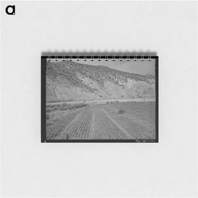 アートメモ帳-Chili Field, Dixon, New Mexico
 - ラッセル リー Memo.