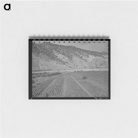 アートメモ帳-Chili Field, Dixon, New Mexico
 - ラッセル リー Memo.