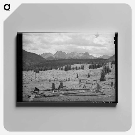 アートパネル-Deforestation in San Juan County
 - ラッセル リー Canvas.