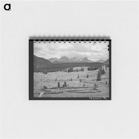 アートメモ帳-Deforestation in San Juan County
 - ラッセル リー Memo.