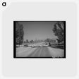 アートポストカード-Sheep on Highway 89
 - ラッセル リー Postcard.
