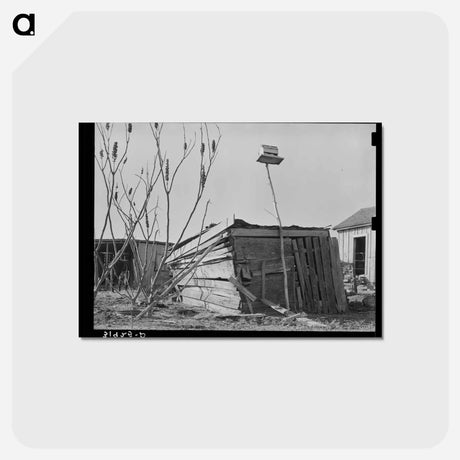 アートポストカード-Louisiana Sharecropper's Shed
 - ラッセル リー Postcard.