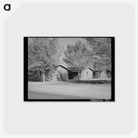 アートポストカード-Housing for Philipino Workers
 - ラッセル リー Postcard.