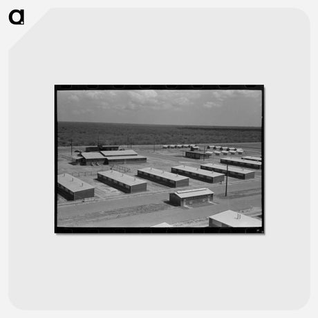 アートポストカード-Migratory Labor Camp, Sinton, Texas
 - ラッセル リー Postcard.
