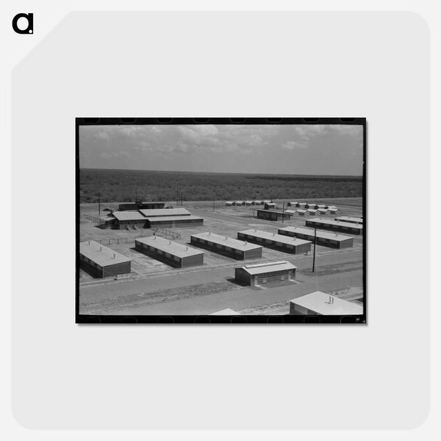 アートポストカード-Migratory Labor Camp, Sinton, Texas
 - ラッセル リー Postcard.