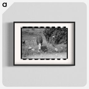 アートポスター-Child Tending Cows, Penasco, New Mexico
 - ラッセル リー Poster.