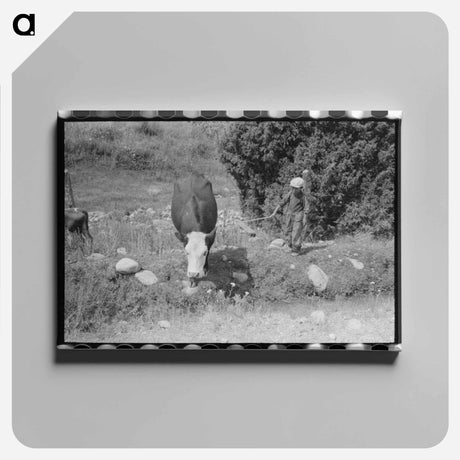 アートパネル-Child Tending Cows, Penasco, New Mexico
 - ラッセル リー Canvas.