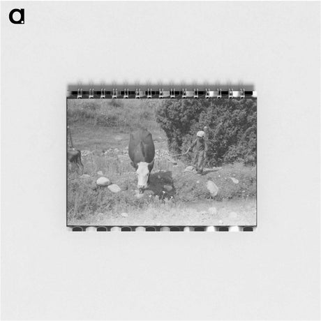 アートメモ帳-Child Tending Cows, Penasco, New Mexico
 - ラッセル リー Memo.