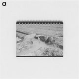 アートメモ帳-Onion Field Irrigation
 - ラッセル リー Memo.