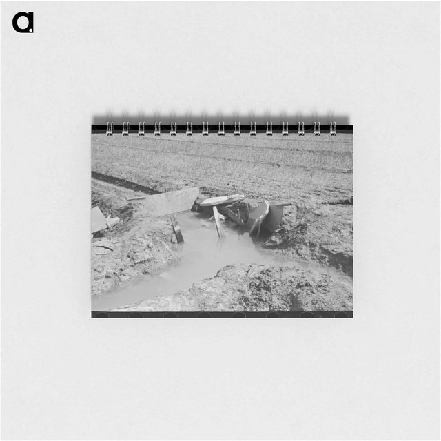 アートメモ帳-Onion Field Irrigation
 - ラッセル リー Memo.