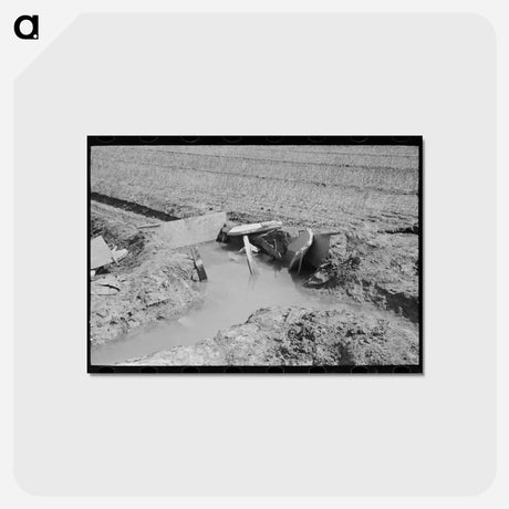 アートポストカード-Onion Field Irrigation
 - ラッセル リー Postcard.