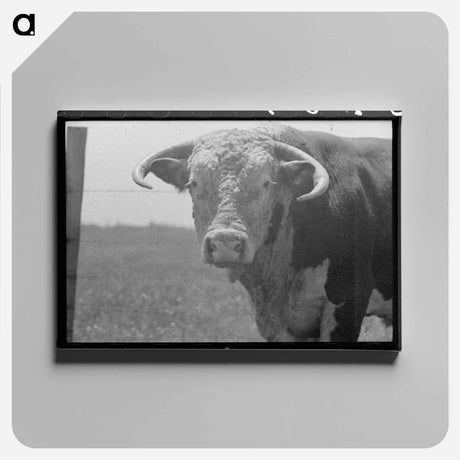 アートパネル-Bull's Head, Cruzen Ranch
 - ラッセル リー Canvas.