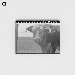 アートメモ帳-Bull's Head, Cruzen Ranch
 - ラッセル リー Memo.