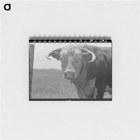 アートメモ帳-Bull's Head, Cruzen Ranch
 - ラッセル リー Memo.