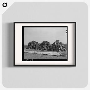 アートポスター-Woodpile on Farmstead
 - ラッセル リー Poster.