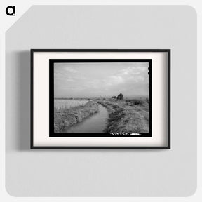 アートポスター-Irrigation Ditch to Farm, Montrose
 - ラッセル リー Poster.
