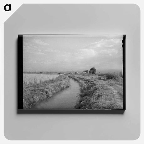 アートパネル-Irrigation Ditch to Farm, Montrose
 - ラッセル リー Canvas.