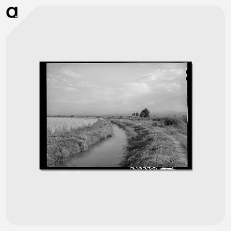 アートポストカード-Irrigation Ditch to Farm, Montrose
 - ラッセル リー Postcard.