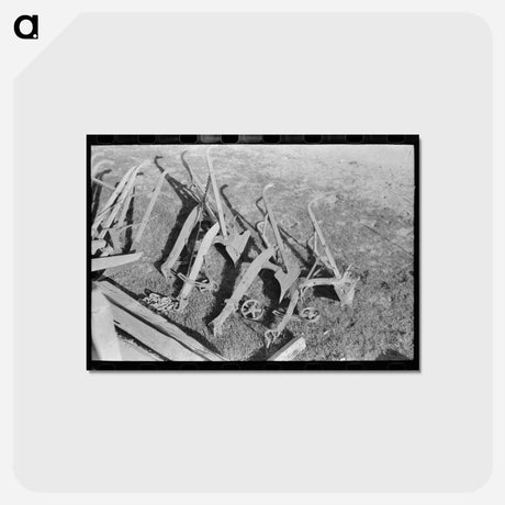 アートポストカード-Placer County Cultivators
 - ラッセル リー Postcard.