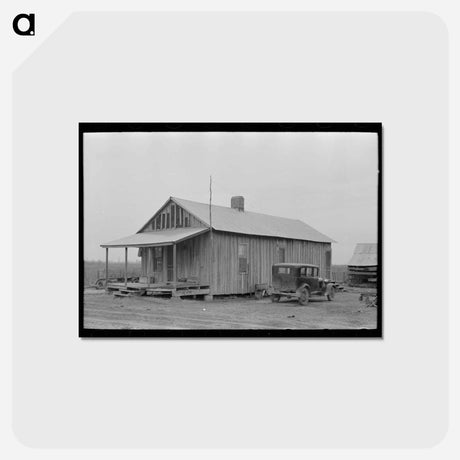 アートポストカード-Sharecropper's House, Mississippi
 - ラッセル リー Postcard.