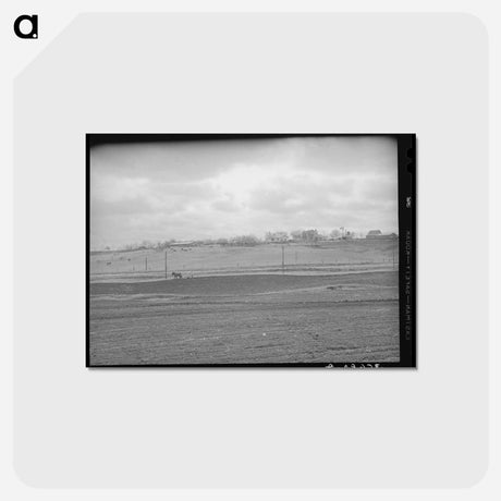 アートポストカード-Spring Plowing, Williamson County
 - ラッセル リー Postcard.