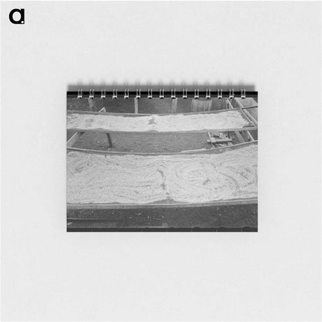 アートメモ帳-Pecan Drying, San Antonio
 - ラッセル リー Memo.