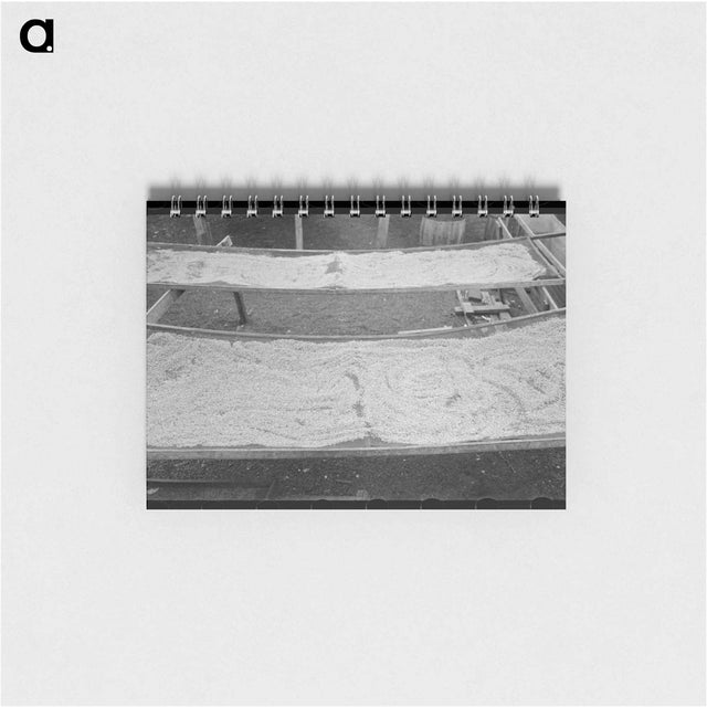 アートメモ帳-Pecan Drying, San Antonio
 - ラッセル リー Memo.