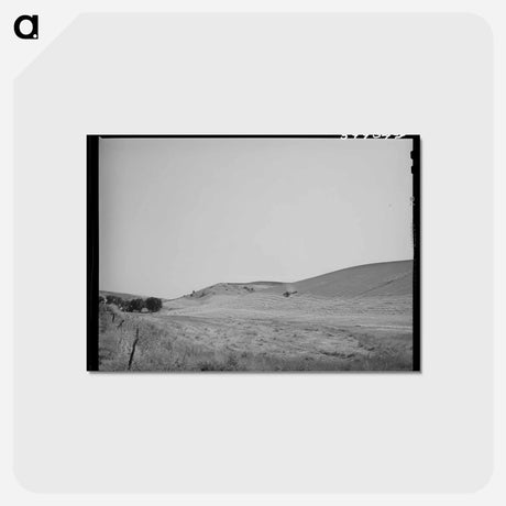 アートポストカード-Wheat Combine in Whitman County
 - ラッセル リー Postcard.