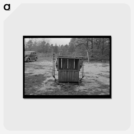 アートポストカード-Moss Press, Pine Area
 - ラッセル リー Postcard.