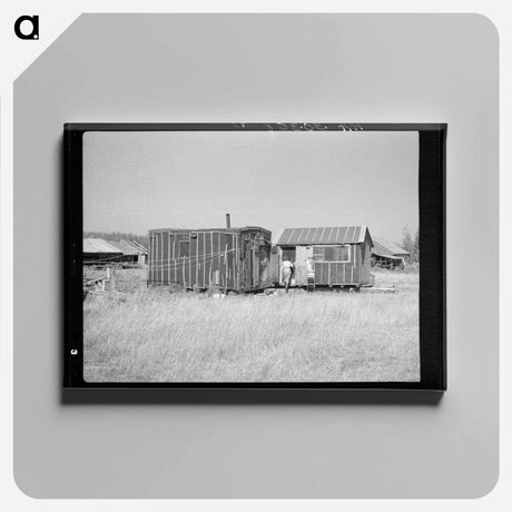 アートパネル-Abandoned Lumber Camp, Gemmel, Minnesota
 - ラッセル リー Canvas.