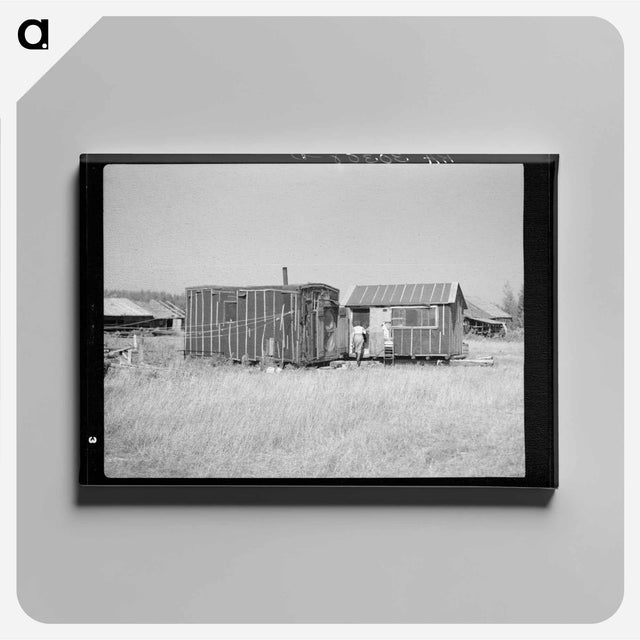 アートパネル-Abandoned Lumber Camp, Gemmel, Minnesota
 - ラッセル リー Canvas.