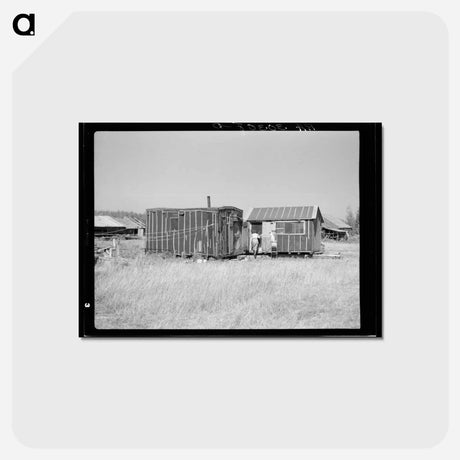 アートポストカード-Abandoned Lumber Camp, Gemmel, Minnesota
 - ラッセル リー Postcard.