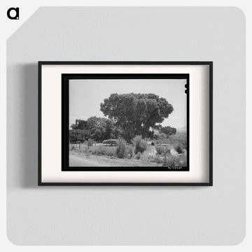 Mormon Farms Irrigation Pools
 - ラッセル リー Poster.