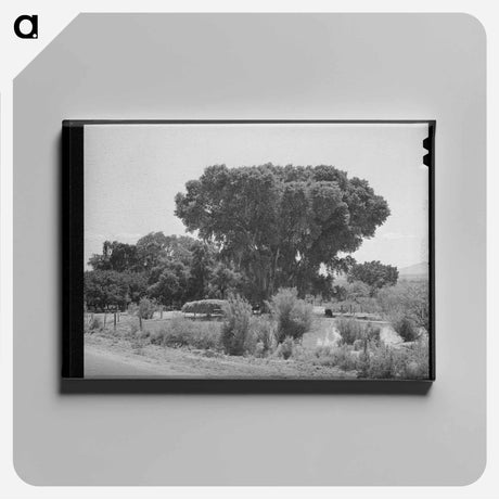 アートパネル-Mormon Farms Irrigation Pools
 - ラッセル リー Canvas.