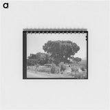 アートメモ帳-Mormon Farms Irrigation Pools
 - ラッセル リー Memo.