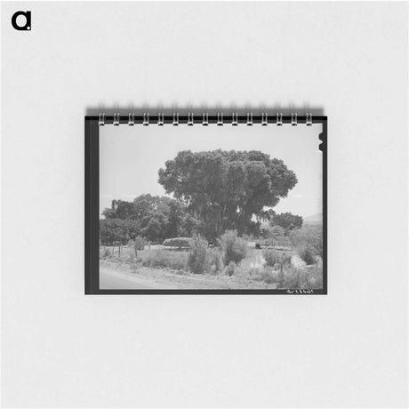 アートメモ帳-Mormon Farms Irrigation Pools
 - ラッセル リー Memo.